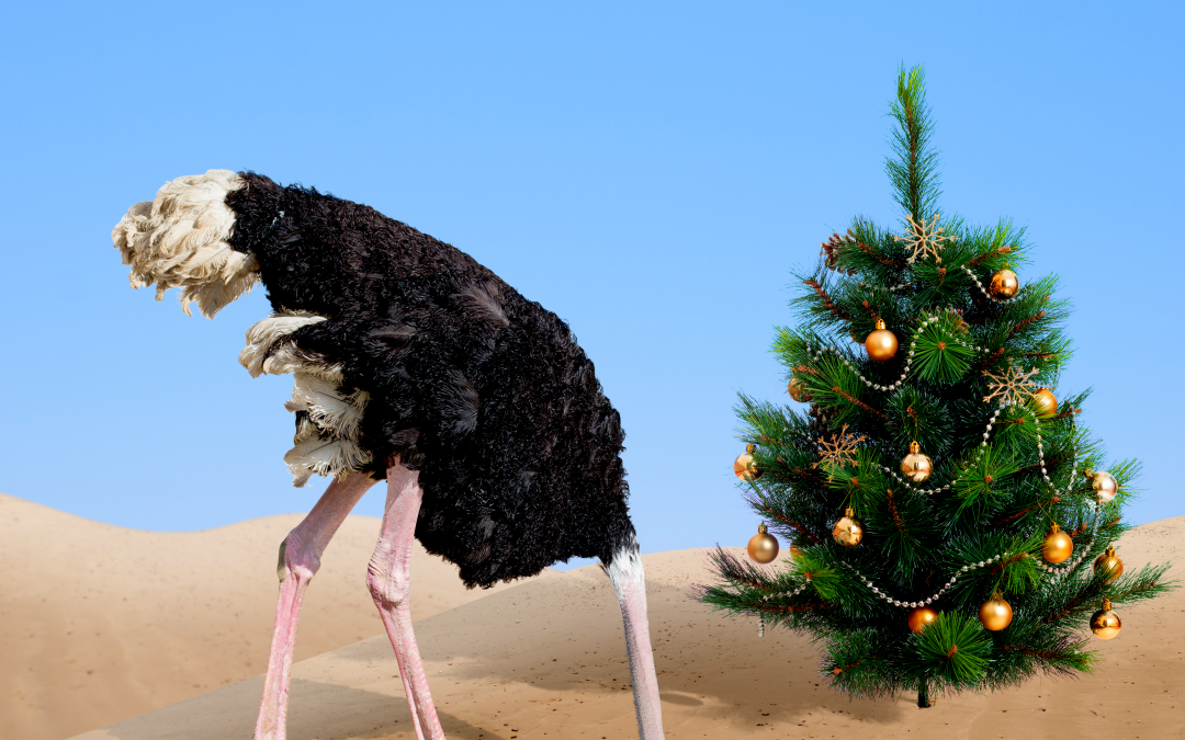 Taking a Holiday from Christmas